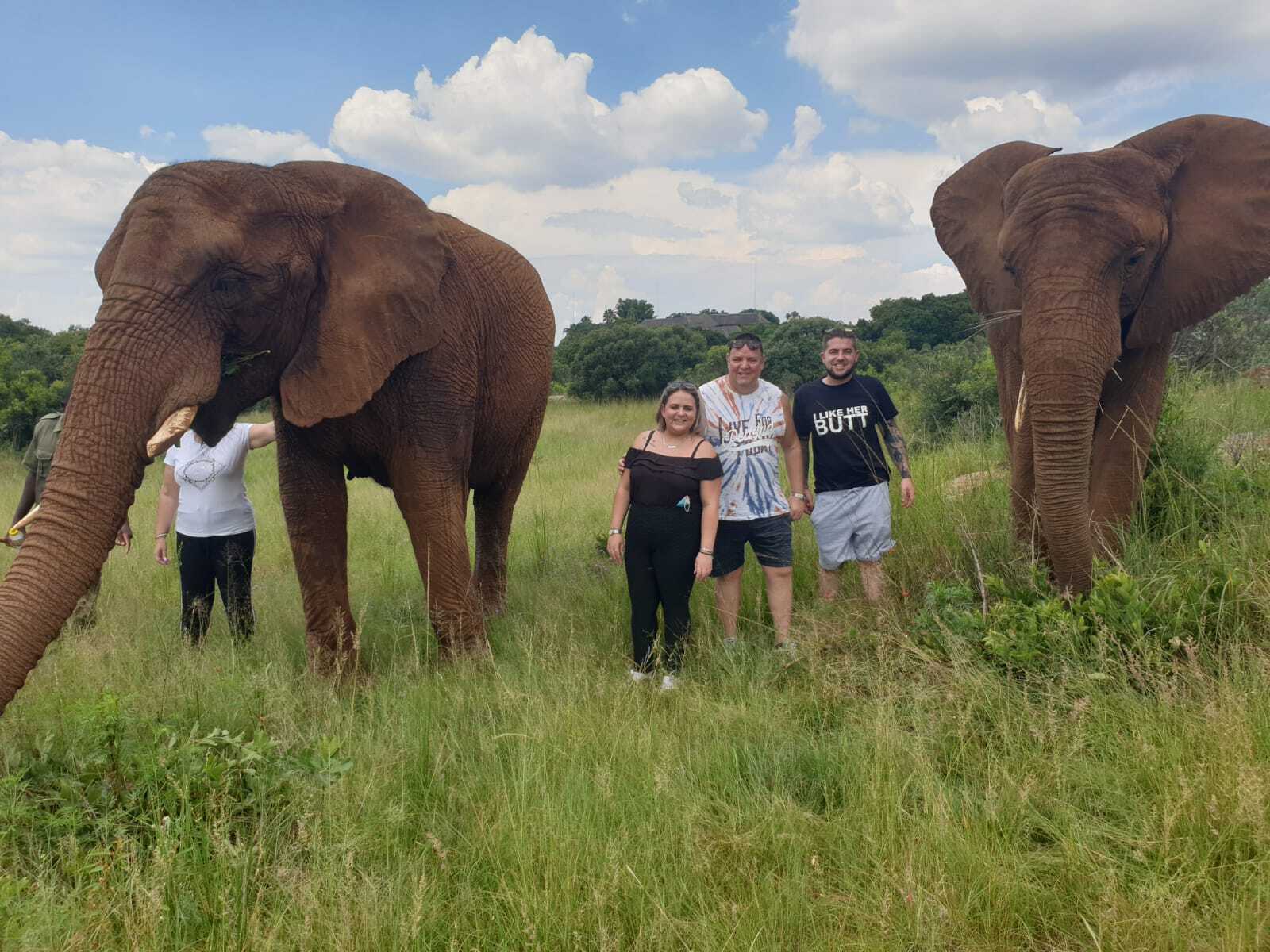 Luxury Safari Experience in South Africa